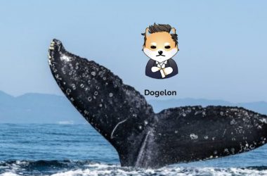Dogelon Mars Elon Whale