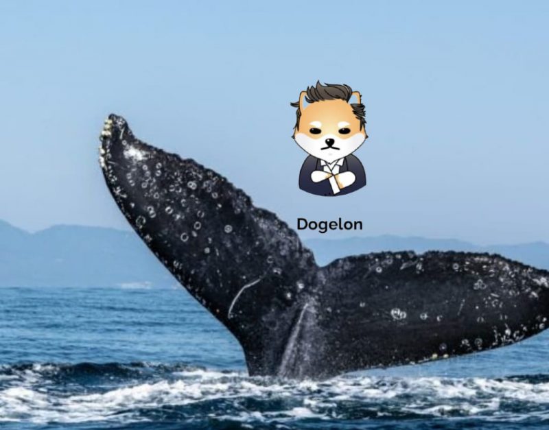 Dogelon Mars Elon Whale