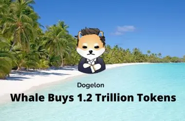 Dogelon Mars ELON whale movements