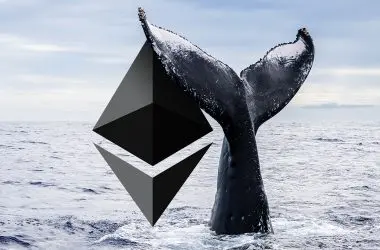 whales buying