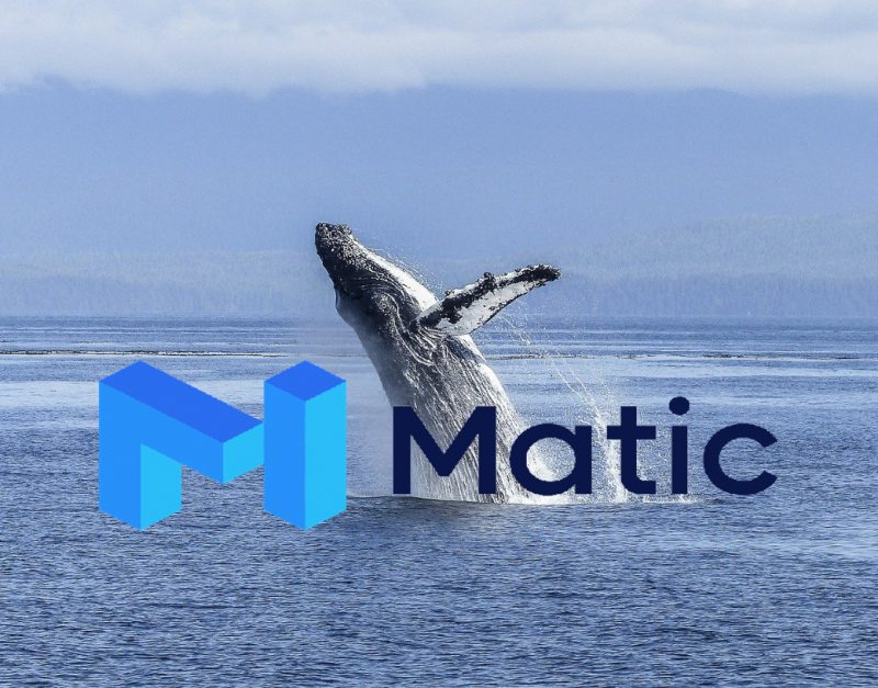 Gimli whale buys 697,232 Matic coins worth $1.2 million