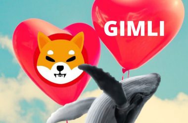 Gimli whale Shiba Inu love story