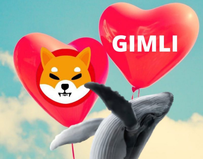 Gimli whale Shiba Inu love story
