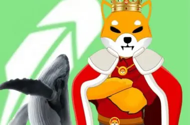 Robinhood whale Shiba Inu