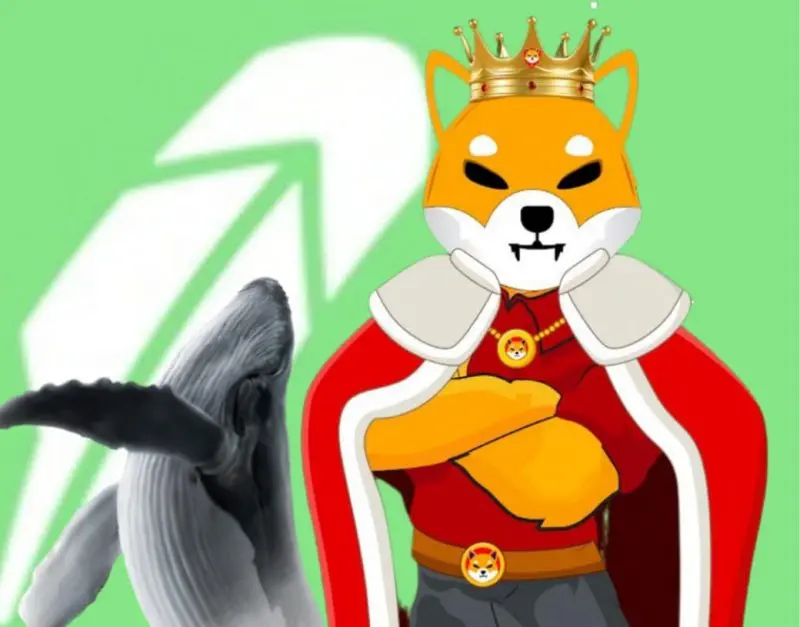 Robinhood whale Shiba Inu