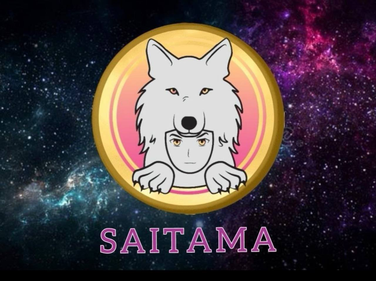 Is Saitama Inu a Good Investment