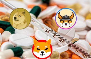 Shiba Inu, Dogecoin, Floki enter the healthcare segment and is accepted as payment at Ask The Doctor
