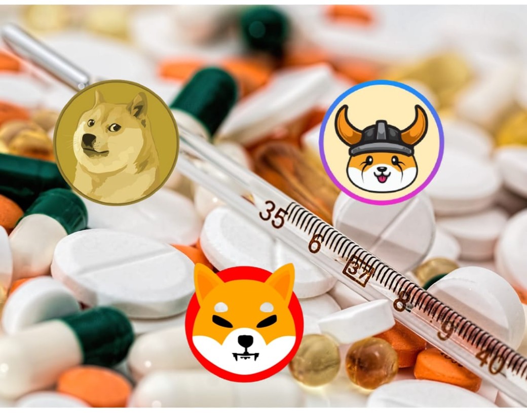 Shiba Inu, Dogecoin, Floki Enters the Healthcare Sector
