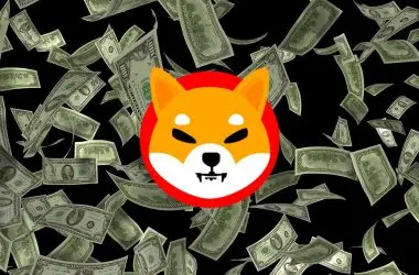 Shiba Inu wealth making token