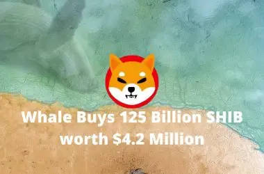 Shiba Inu whale buys 125 billion coins worth $4.2 million
