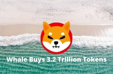 Shiba Inu whale buys 3.2 trillion SHIB tokens