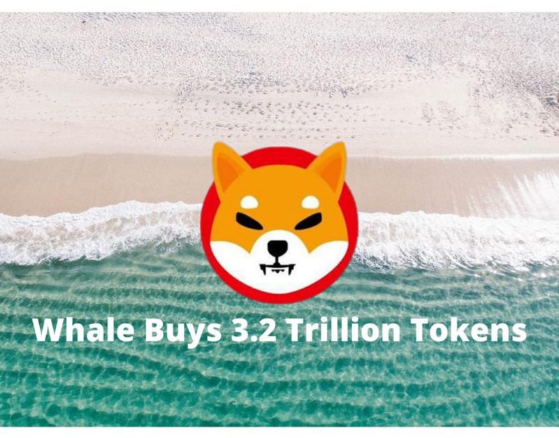 Shiba Inu whale buys 3.2 trillion SHIB tokens