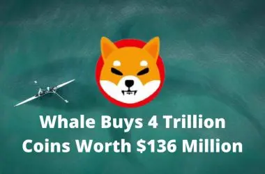 Shiba Inu whale