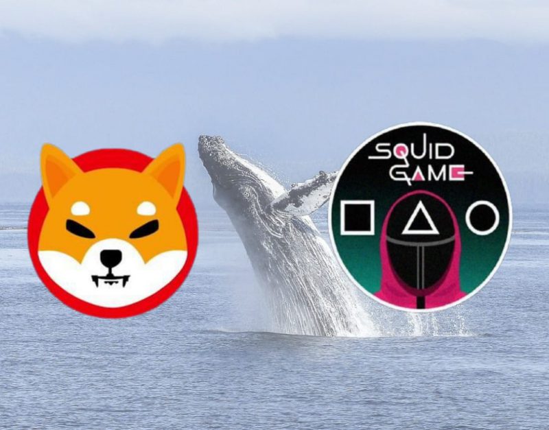 Squid Game developers buy 3 trillion Shiba Inu tokens after scamming investors