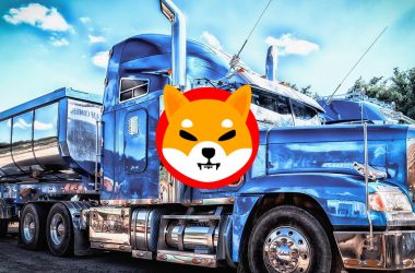 Truck driver quit job after making $1.7 million in Shiba Inu with a $670 investment