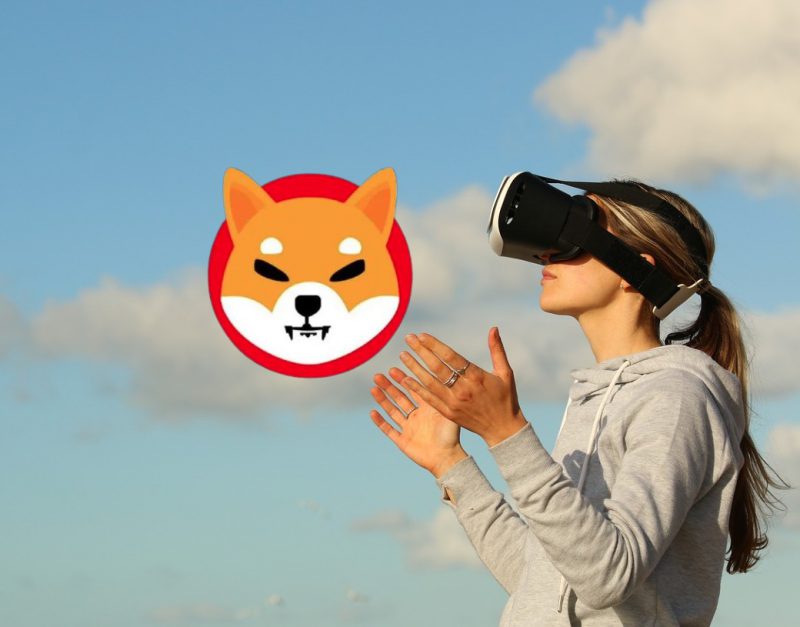 VR World accepts Shiba Inu as payment