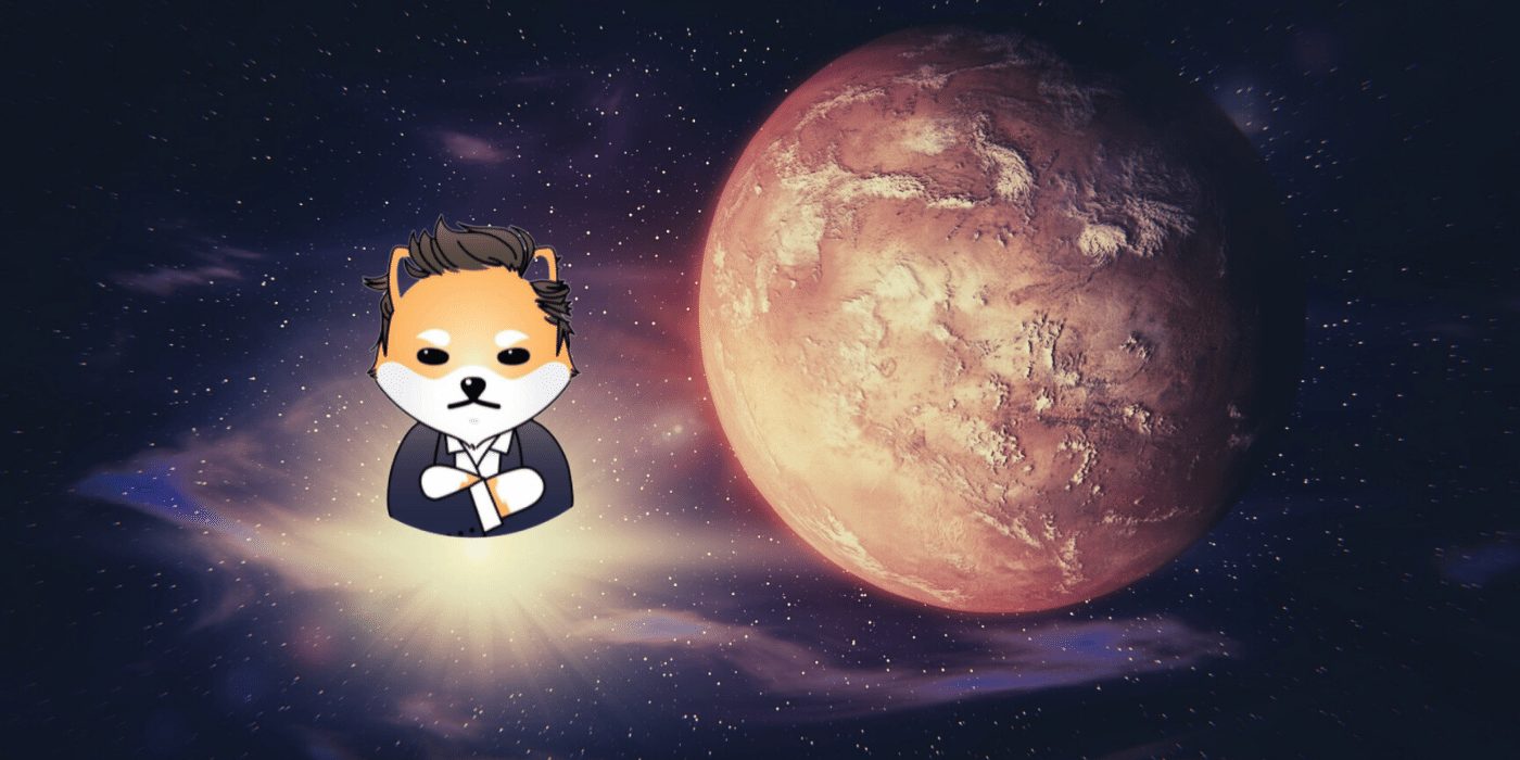 Dogelon Mars: Would the changing dynamics aid this coin's organic rally?