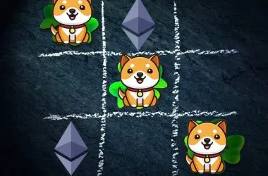 BabyDoge Coin flips Ethereum to be the top 1000 BSC whales favourite