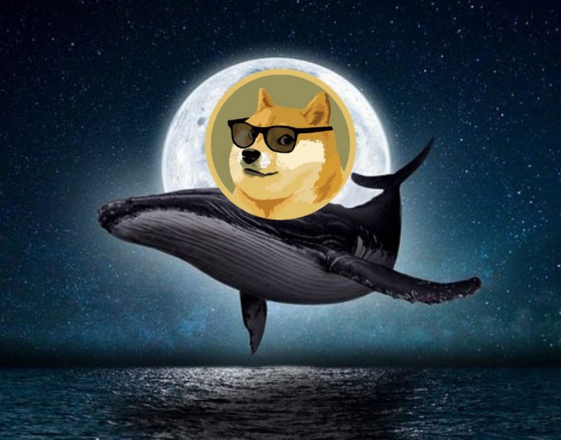 Dogecoin whale to the moon