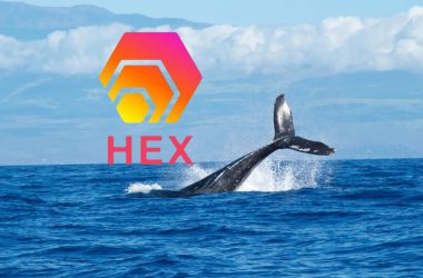 HEX Whale