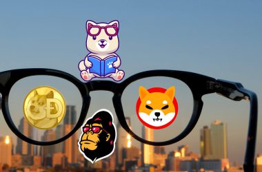 Nerdy Frames accepts Shiba Inu, Dogecoin, Kishu Inu, FEG Token, Bitcoin, Ethereum and other cryptocurrencies as payment