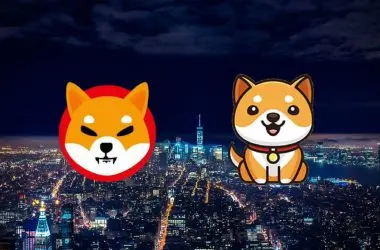 Shiba Inu BabyDoge Coin