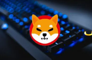 Shiba Inu Playside Studios Games