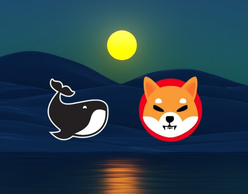 Shiba Inu ShibaSwap to exclusively launch 2 new tokens MetaBET and Voxel X Network confirms Shytoshi Kusama