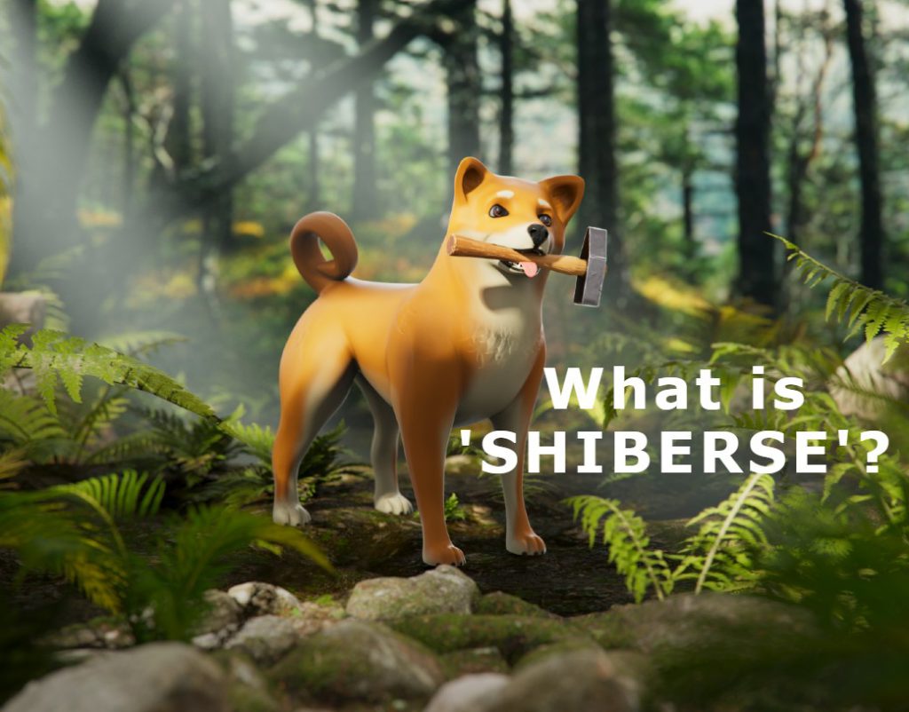 What is Shiba Inu Shiberse