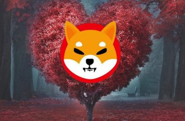 Shiba Inu Valentine's Day Love
