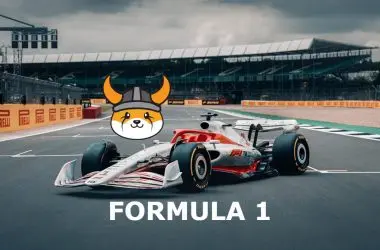 Floki Inu Formula 1