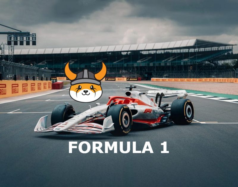 Floki Inu Formula 1