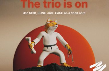 Mover Metaverse Savings Debit Card Adds Shiba Inu Bone Leash