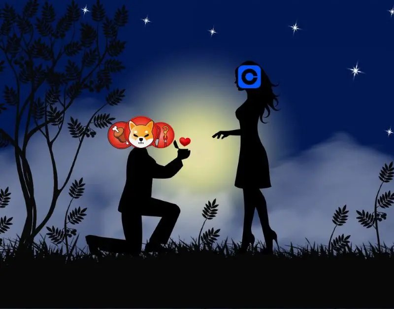 Shiba Inu Bone Leash Coinbase Valentine's Day