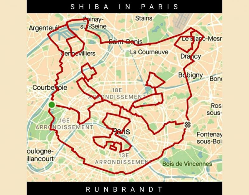 Shiba Inu GPS tracker drawing in Paris cyclist artist Runbrandt Art