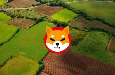 Shiba Inu Metaverse Land Real Estate Property