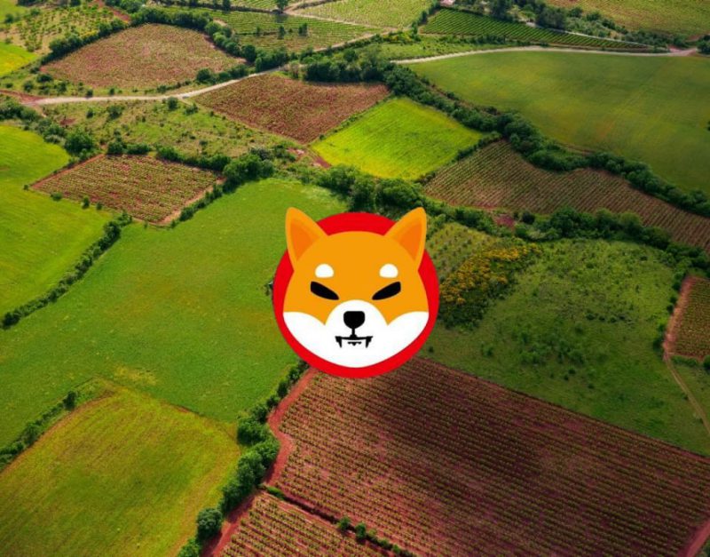 Shiba Inu Metaverse Land Real Estate Property