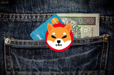 NOWPayments highlights why companies need to accept Shiba Inu