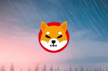 Shiba Inu Stars
