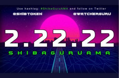 Shiba Inu Watcher Guru AMA ShibaGuruAMA Twitter Spaces February 22 2022