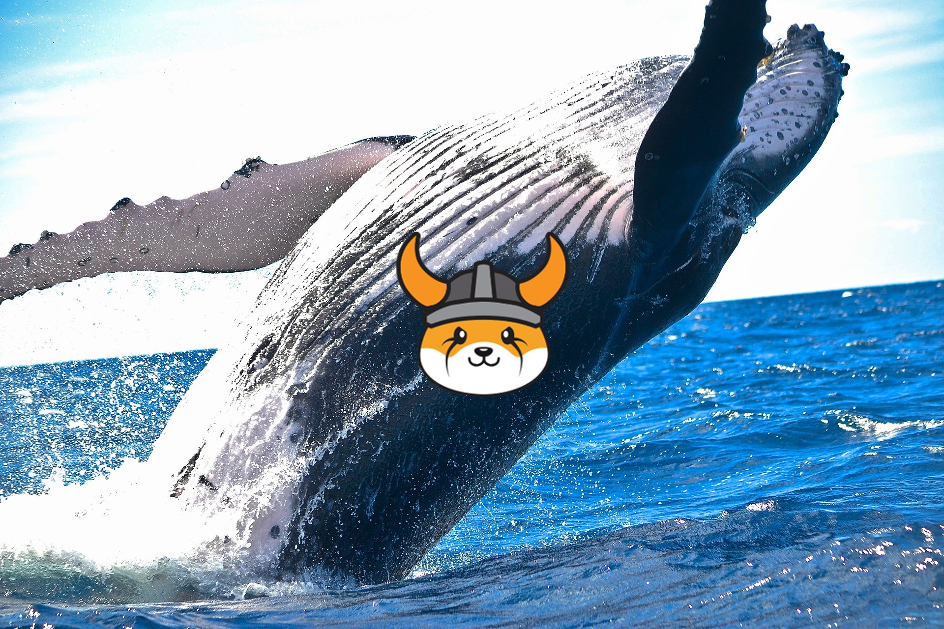 binance whales