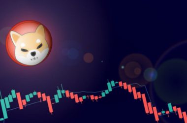 Shiba Inu
