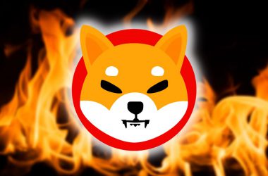 Shiba Inu Burn