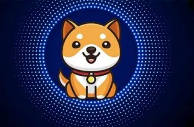 Baby Doge Coin