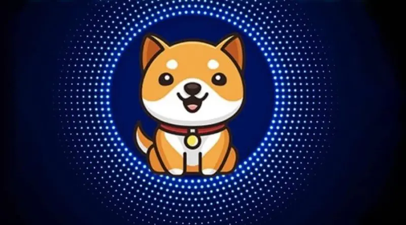 Baby Doge Coin