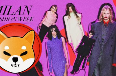 Shiba Inu Afterparty