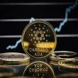 Cardano
