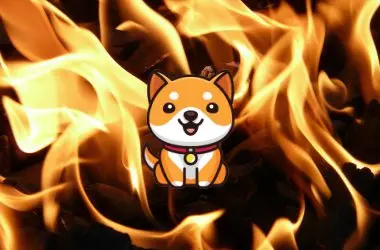 BabyDoge