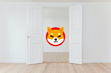 Shiba Inu