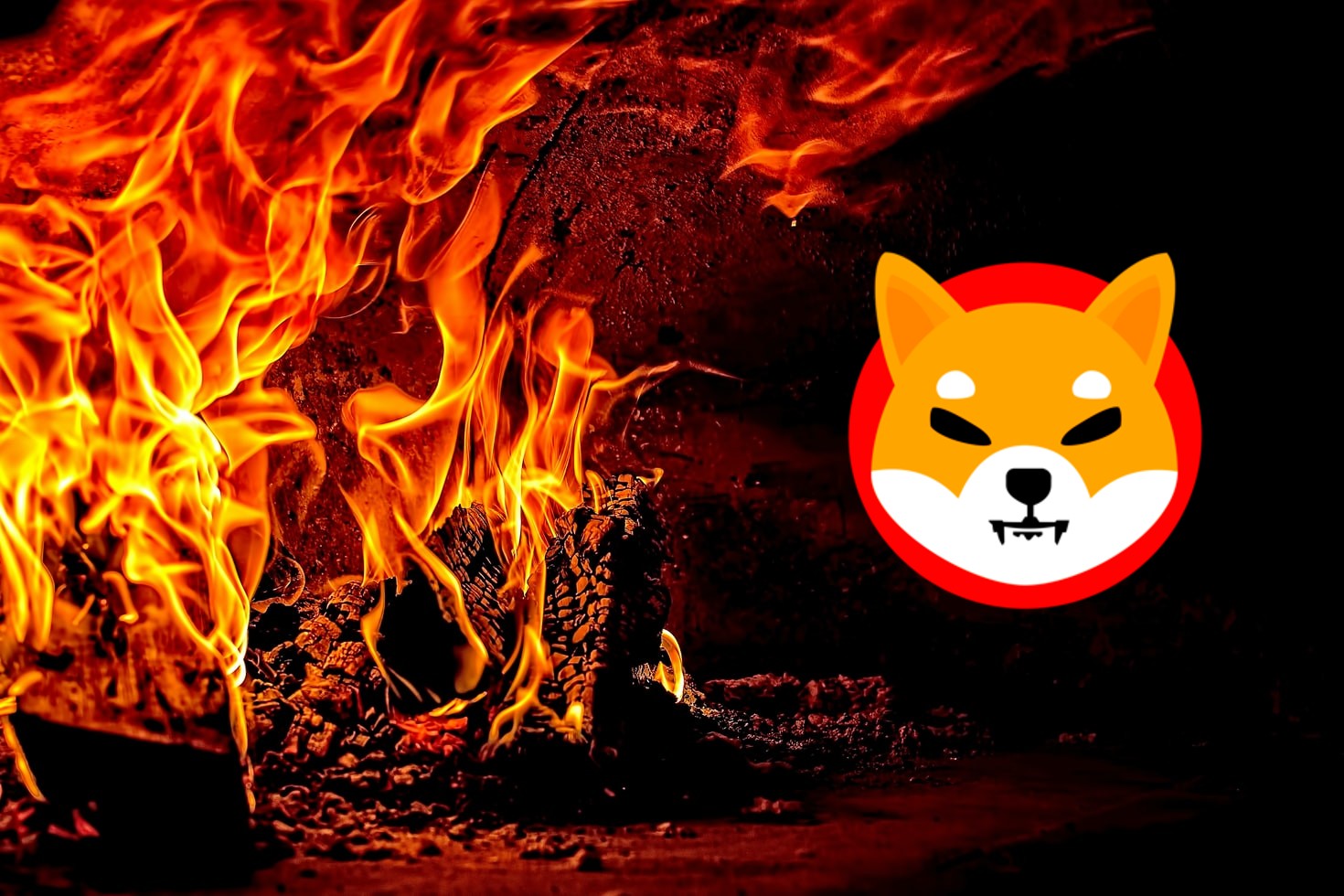 Here's how you can burn Shiba Inu and Leash on NOWPayments